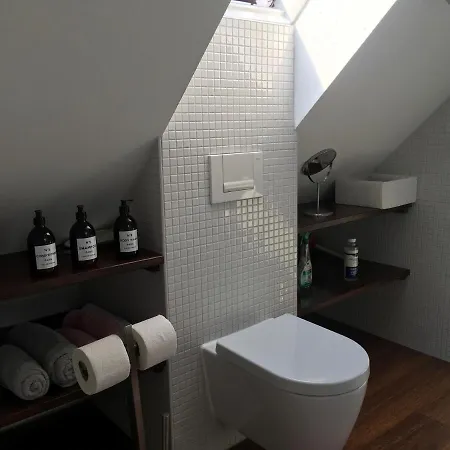 Apartment Dachstudio Im Geteviertel - Citynah *